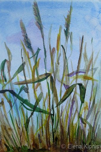 27 - Gras Aquarell, 10 x 14 cm